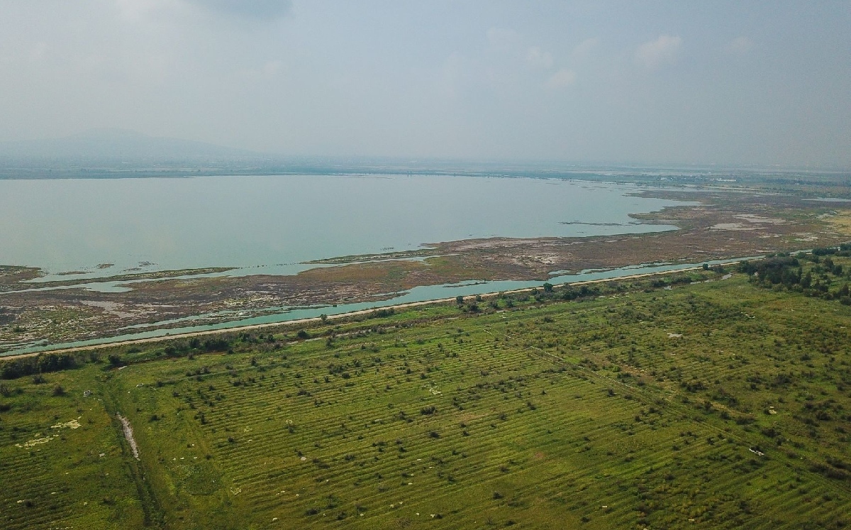 Amlo Declara Al Lago De Texcoco Como área Natural Protegida Area Metropoli 1912